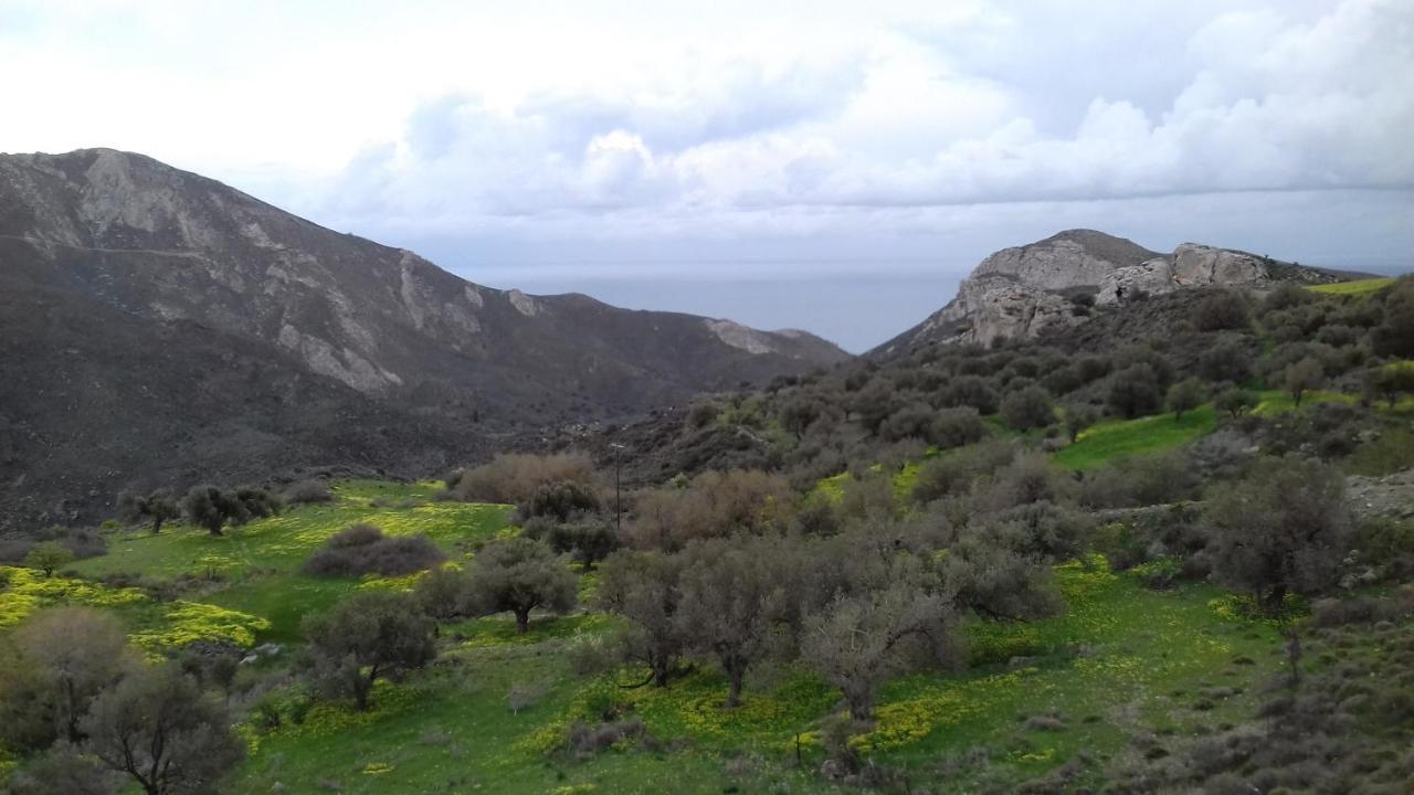 Vila Sifis Pirounakis Anatoli Léntas Exteriér fotografie